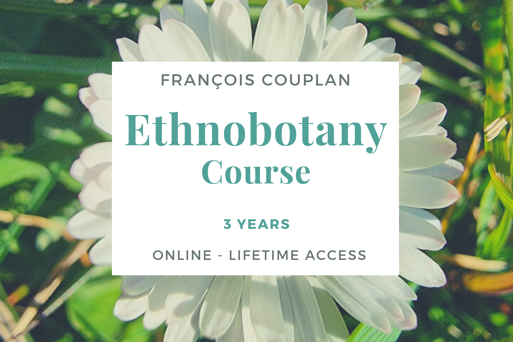 Ethnobotany course