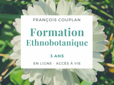 Miniature du cours