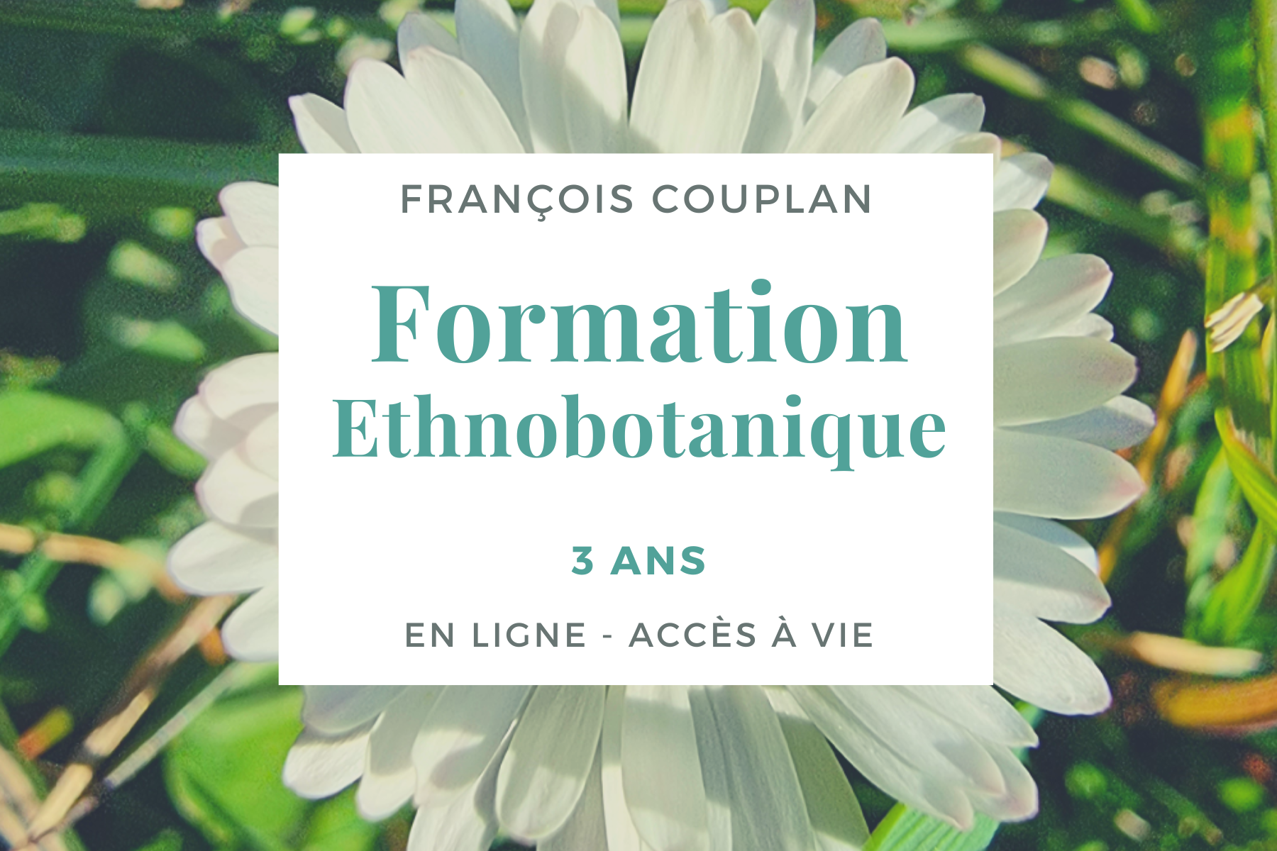 Formation complète