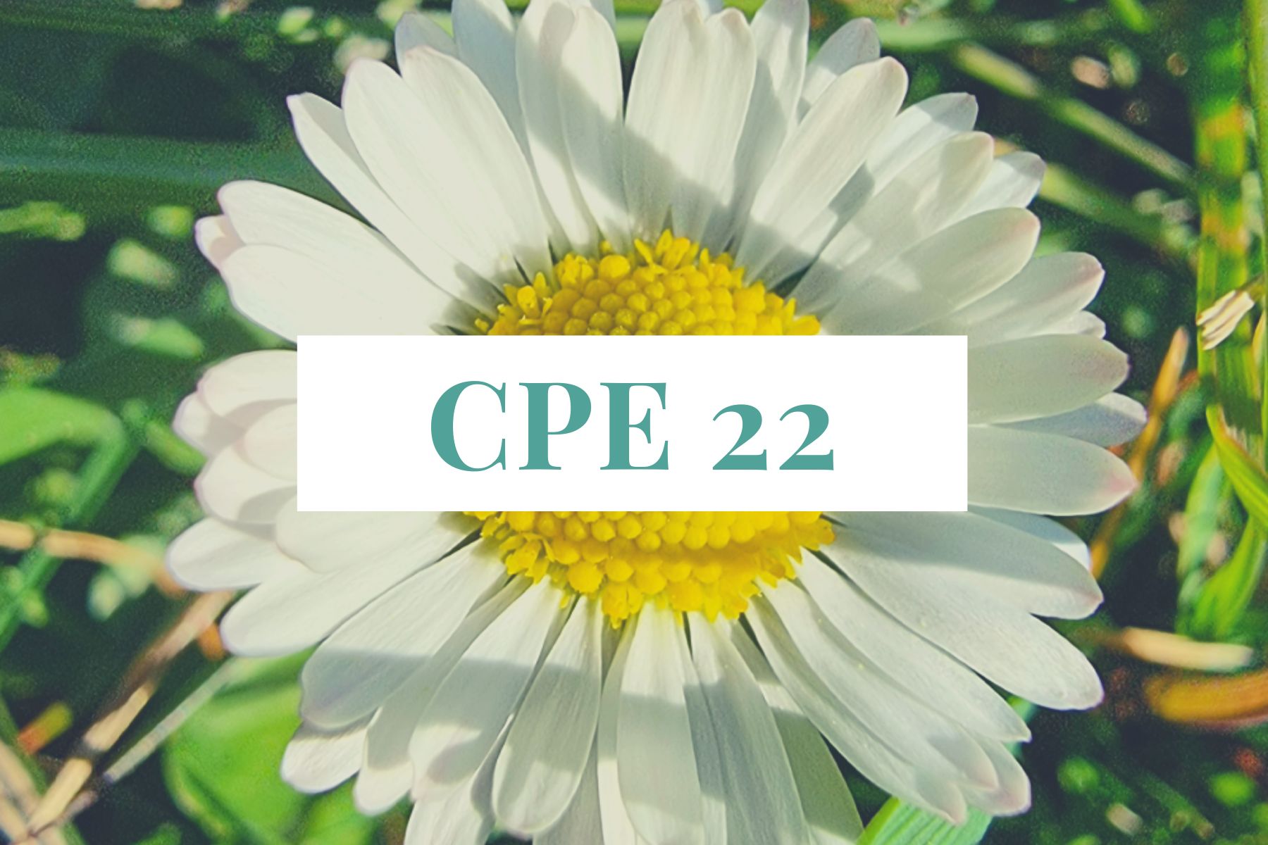 CPE22