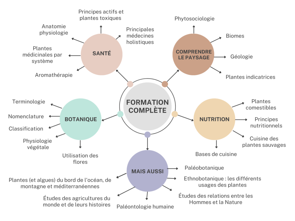 Formation Collège Pratique d'Ethnobotanique
